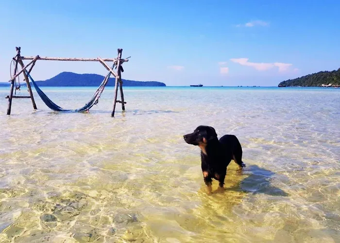 Mangrove Beach Bungalows