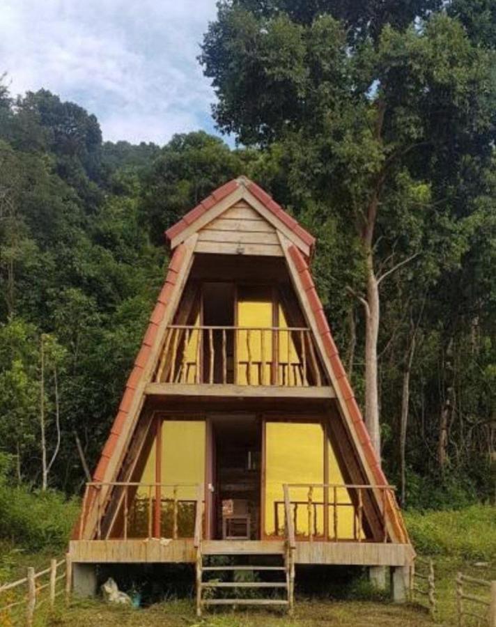 Lodge Mangrove