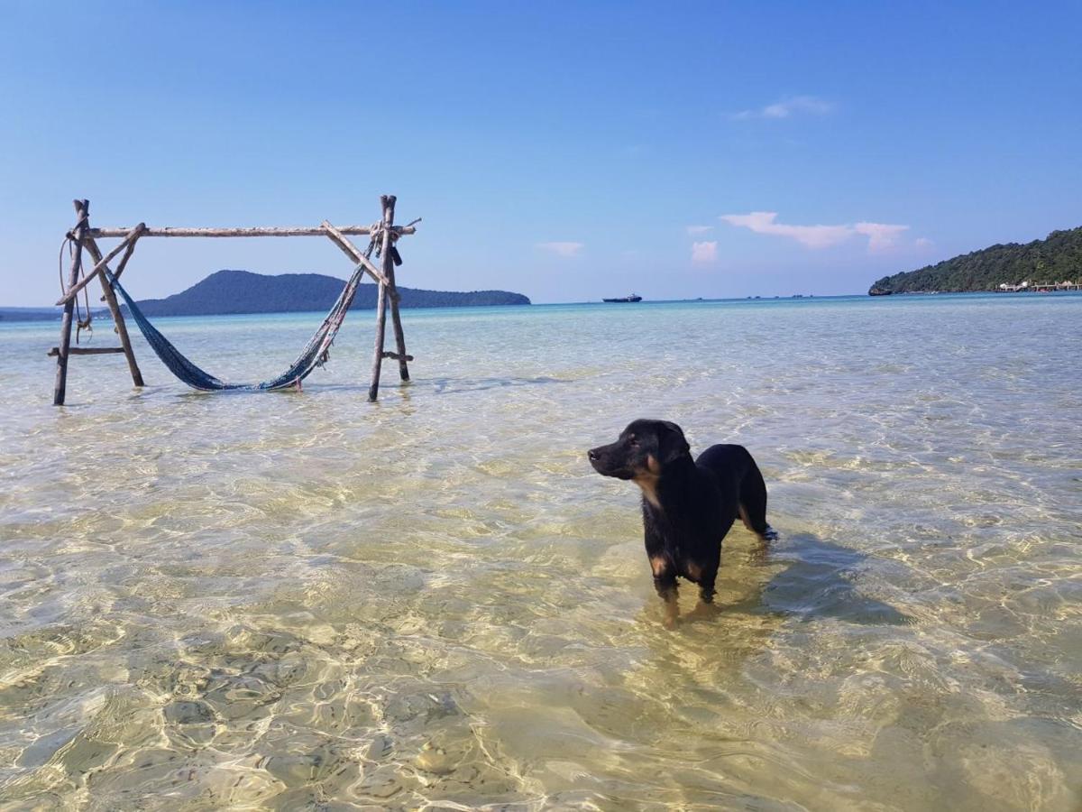 Mangrove * Koh Rong Sanloem
