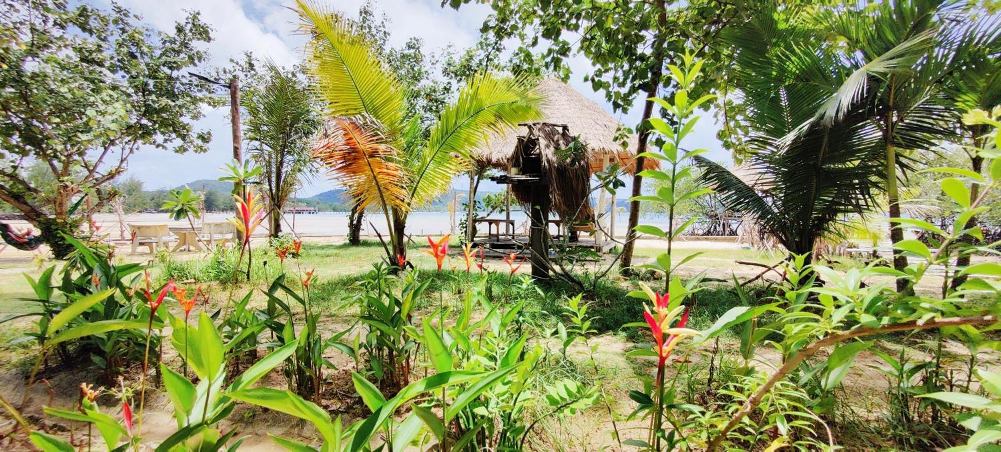 Lodge Mangrove