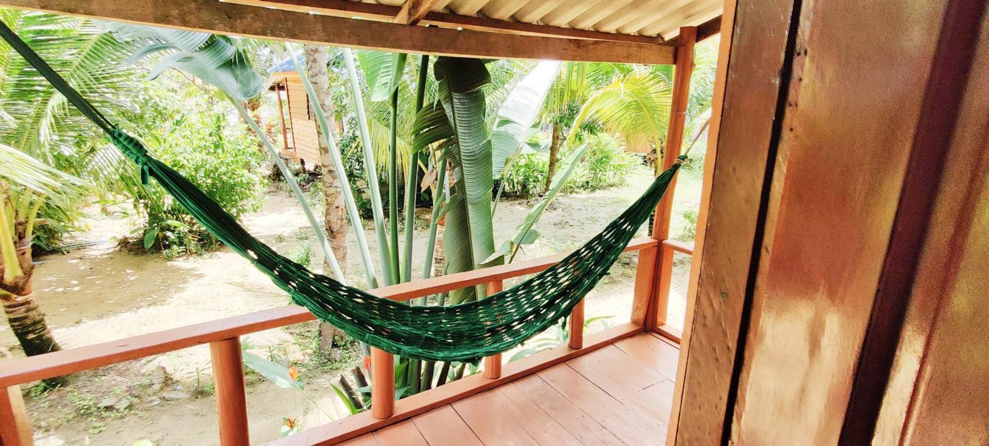 Mangrove Đảo Koh Rong Samloem