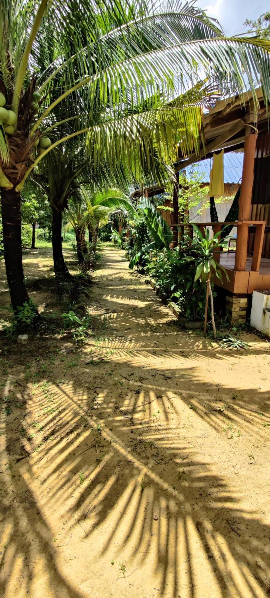 Mangrove Lodge *