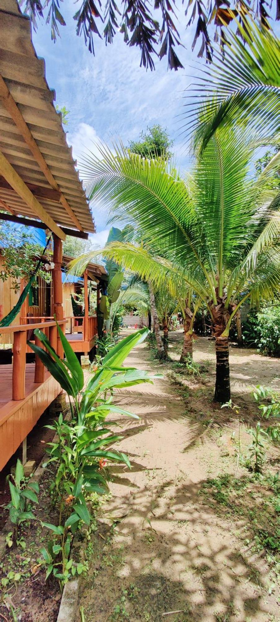 Mangrove Lodge
