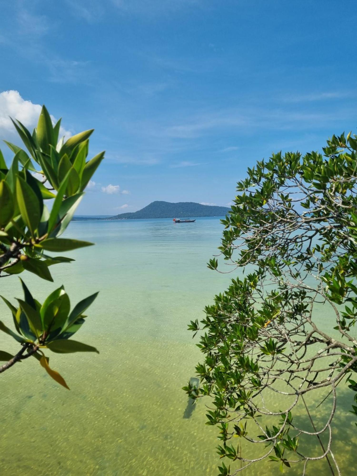 Mangrove Lodge