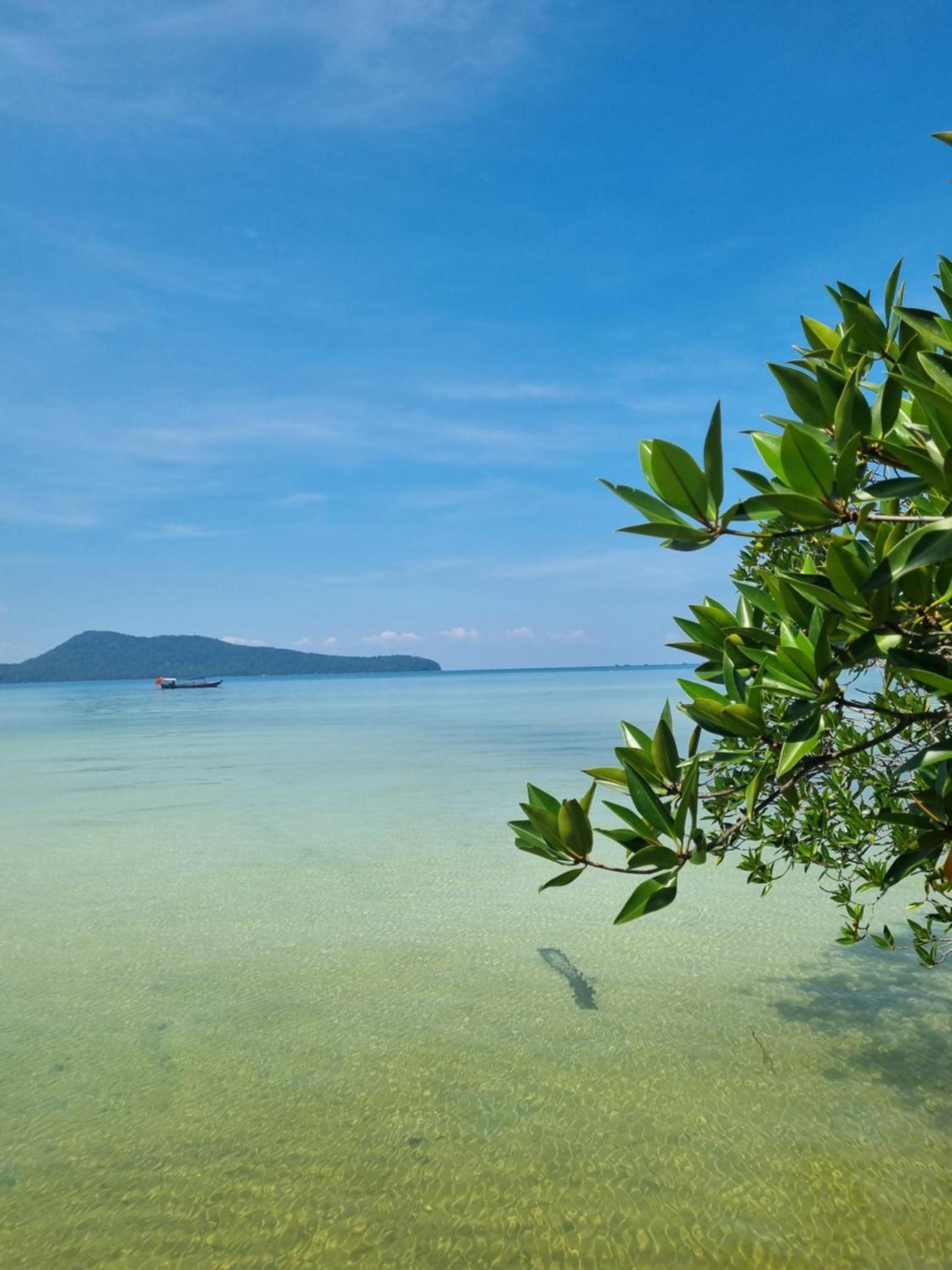 Mangrove lều *